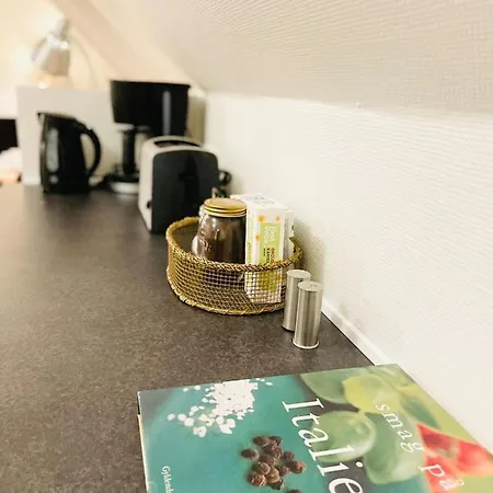 Scandinavian - Sonderbro - 2 דירה הורסנס